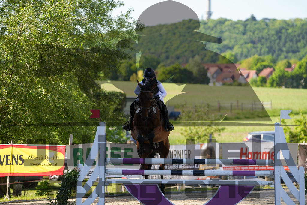 DSC02488 | Julian Held Fotografie - Realisiert mit Pictrs.com