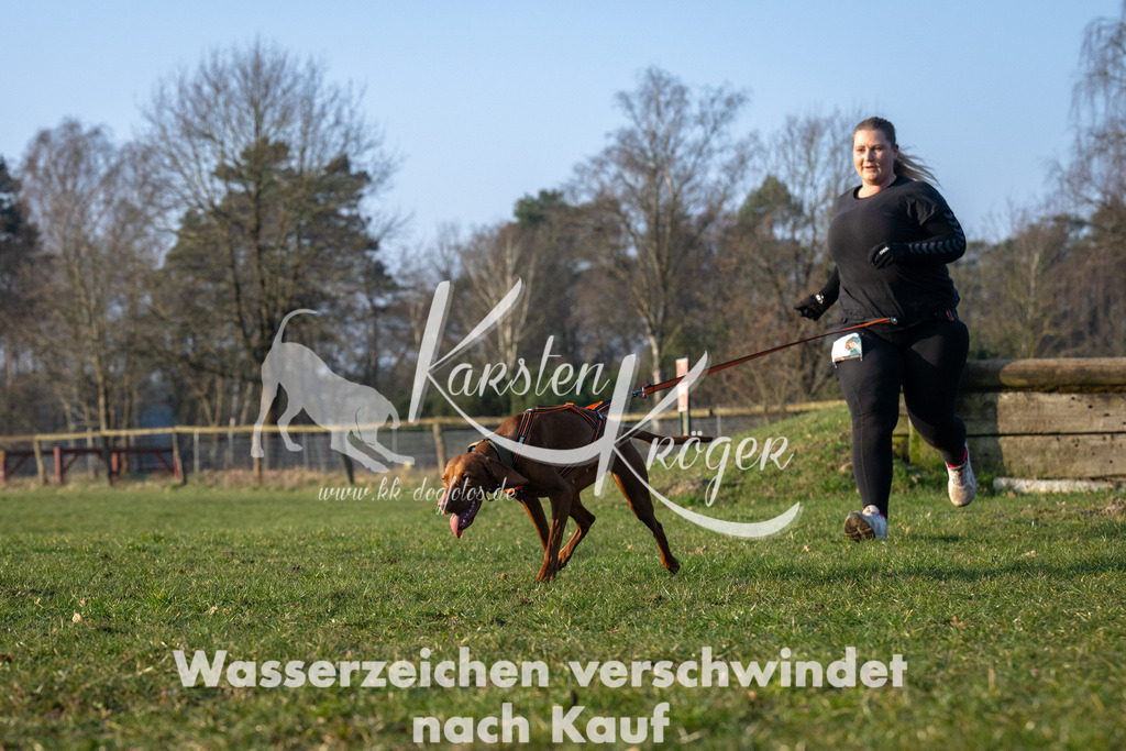 _ZZ91251 | kk-dogfotos