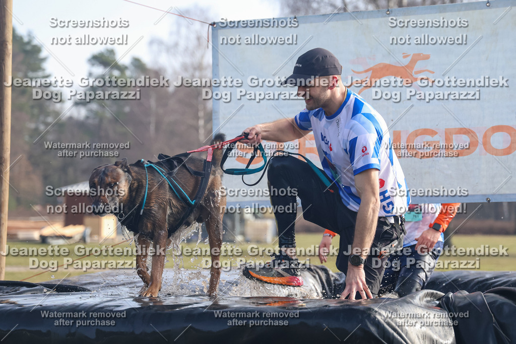 Dog Paparazzi - Strongdog North Mrz26-396 | Dog Paparazzi Jeanette Grottendiek Fotografie & Videografie - Realisiert mit Pictrs.com