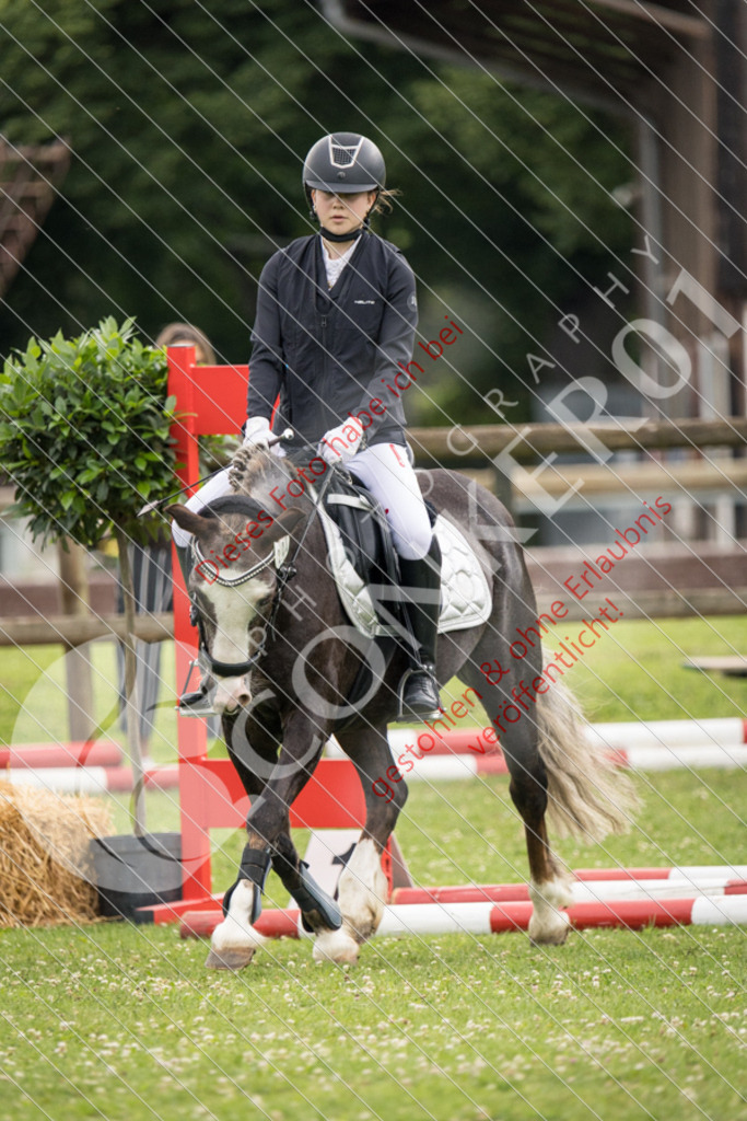 IMG_2703 | Sport-, Event- und Tierfotos in Profiqualität. Einfach auswählen, bestellen und herunterladen. Dein Moment – perfekt festgehalten.