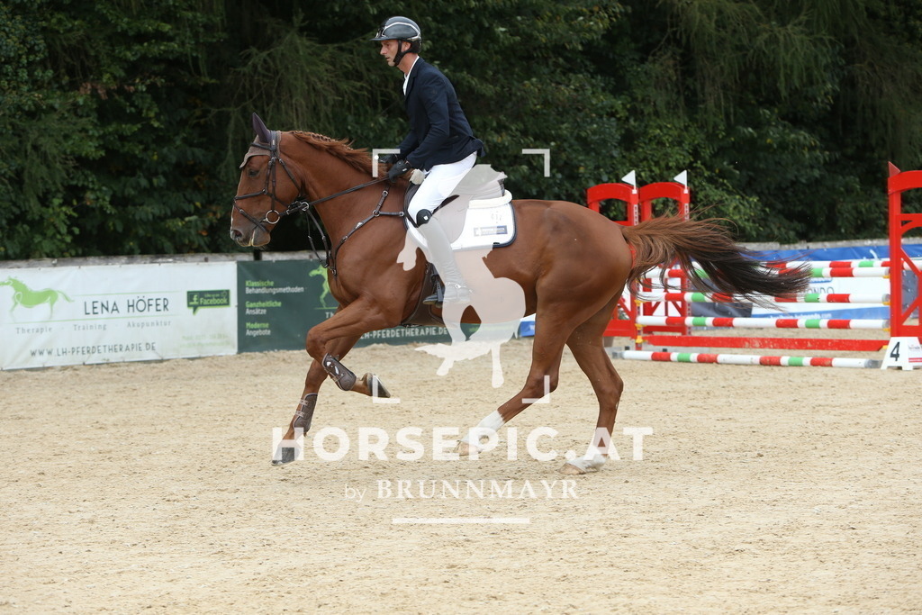 DL2Q1479 | Willkommen bei Brunnmayr - Design & Fotografie – Ihrem Spezialisten für Reitturniere und Pferdeveranstaltungen in Oberösterreich, Salzburg und Bayern! Seit über 17 Jahren sind wir leidenschaftlich dabei.