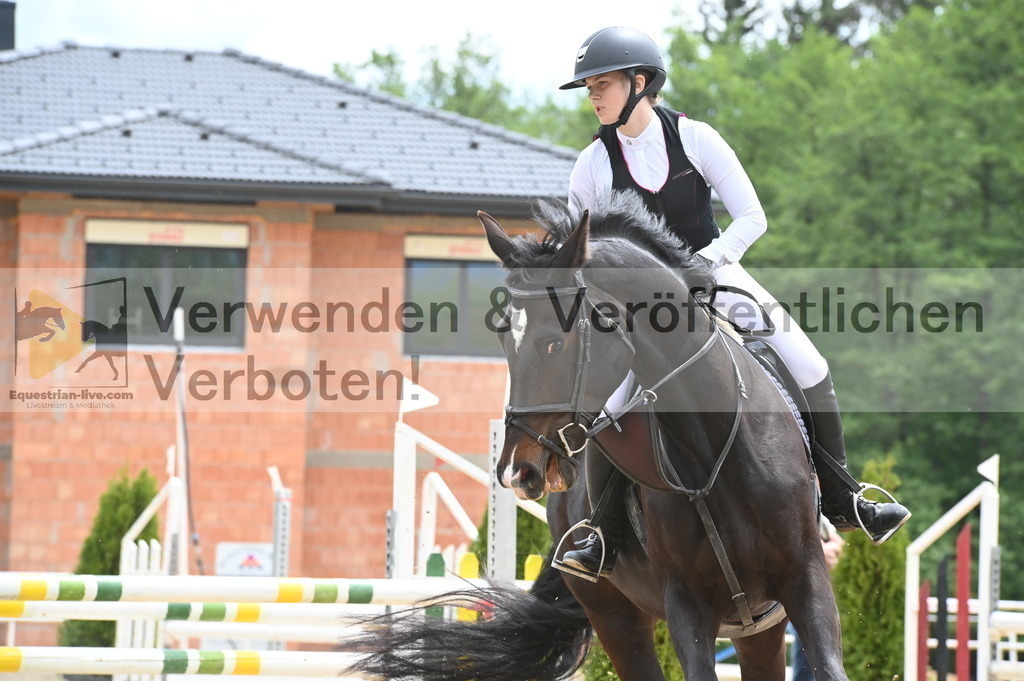 DSC_8465 | equestrian-live-com