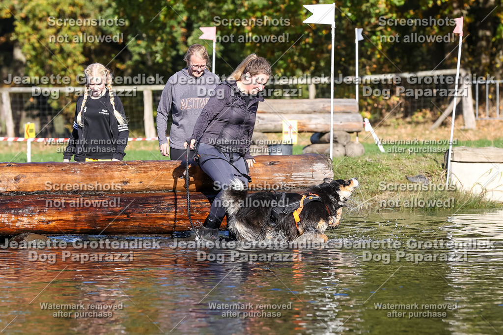 Dog Paparazzi - Strongdog 10-25-8850 | Dog Paparazzi Jeanette Grottendiek Fotografie & Videografie - Realisiert mit Pictrs.com