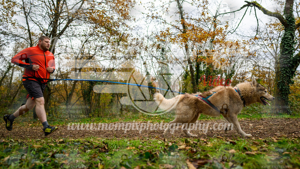 MompixPhotography_Bischwiller24_DI_CoursedeRelais-60 | PayLife