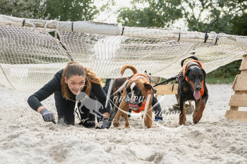 1305_ZZ94672 | kk-dogfotos