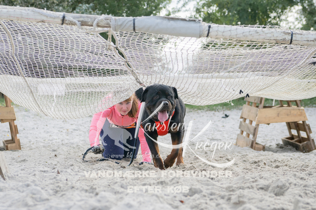 1338_ZZ98174 | kk-dogfotos