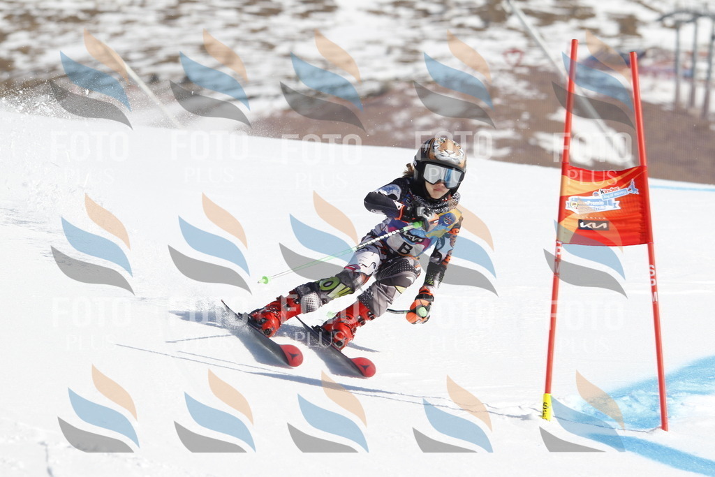 _U3G8479 | holidayphoto