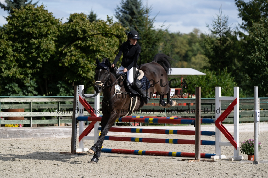 A7V07682 | Pferdefotograf