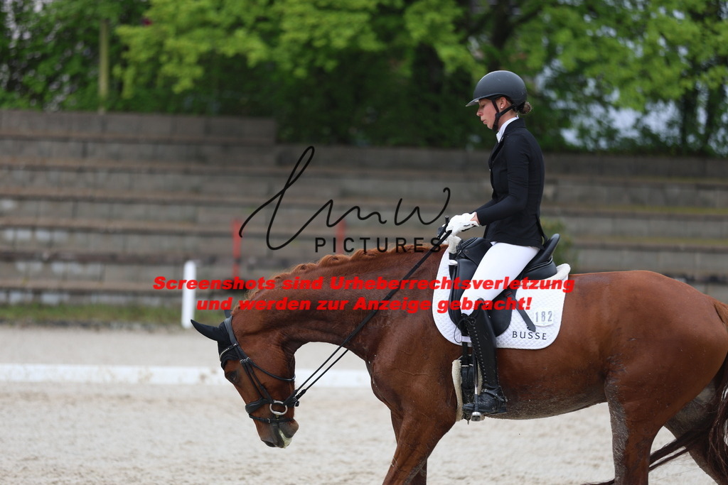 A40A8317 | lmwpictures - Realisiert mit Pictrs.com