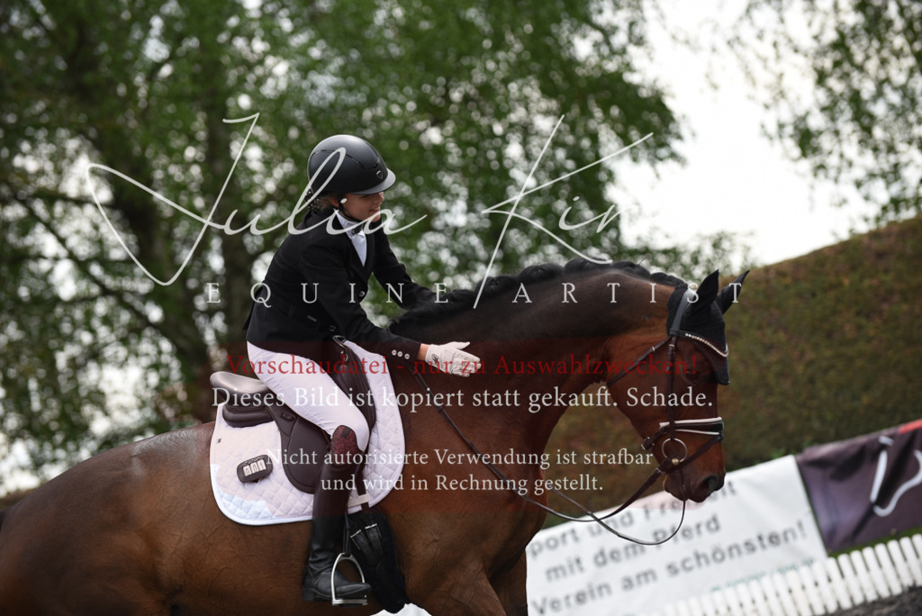 20230513_JK-Röhrsdorf-16-078 | Pferde- und Turnierfotografie in Westsachsen. Pferdeportraits, Auftragszeichnungen und intuitive Kunst.