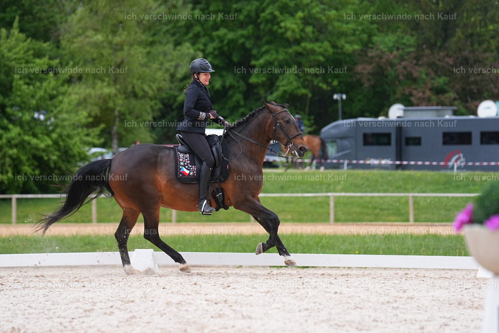 SIN08128 | working equitationturnier fotograf videograf stoibphotography marixx film working equitation deutschland reitsport turnierfotografie eventfotografie equestrian events