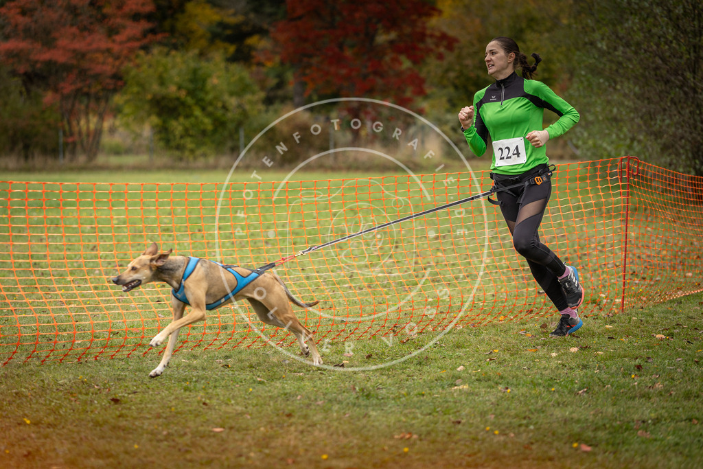 Pfotenfotografie_DV3A4606 | Hundefotografie, Tierfotograf, Pfotenfotografie, Fotoshooting Hund, Hunde Portrait, Hundesport, Hundeportraits, Heideshooting, Hunde, Sportfotograf, Hundefotograf, Turnierhundsport, THS,  - Realisiert mit Pictrs.com