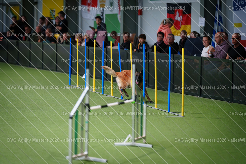 allesWIRTHgut_Tierfotografie-DVG_Agility_Masters_2026-09_34-7R502119 | Professionelle Tierfotografie in Mönchengladbach von Daniel Wirth (allesWIRTHgut). Liebevolle & natürliche Bilder von Hunden & Katzen für unvergessliche Erinnerungen.