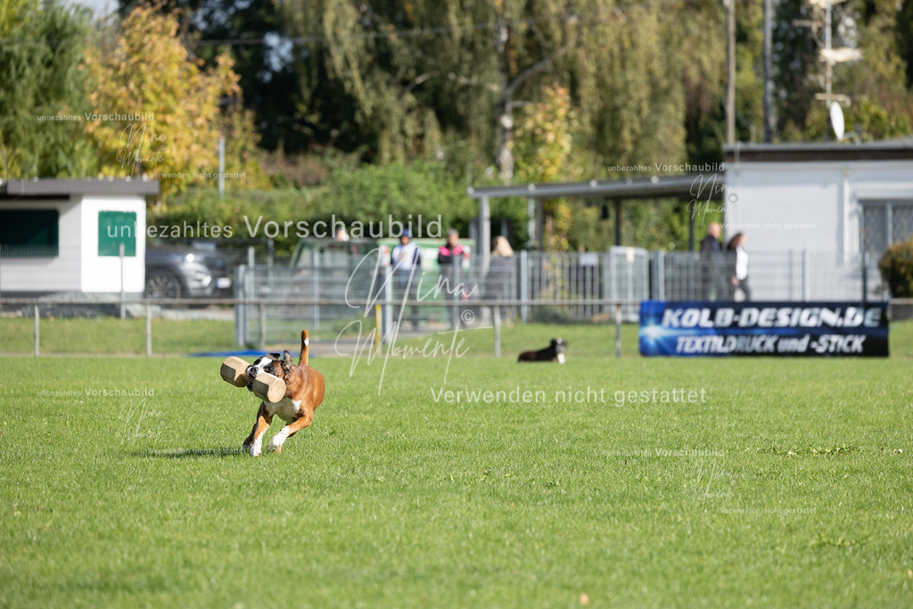 _16A6928 | Einzigartige Fotos von Hunden & Menschen –Actionfotos, Portraits, Vereinsaufnahmen & Paarshootings – authentisch, lebendig & mit Herz.