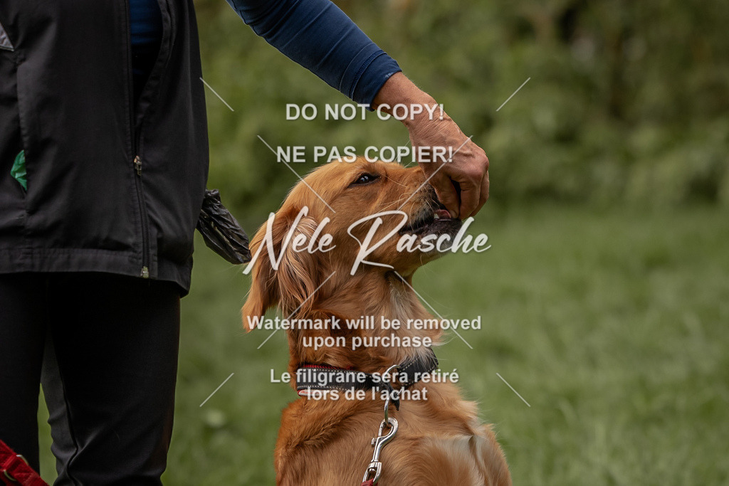 nelerasche_DoN_70 | nelerasche