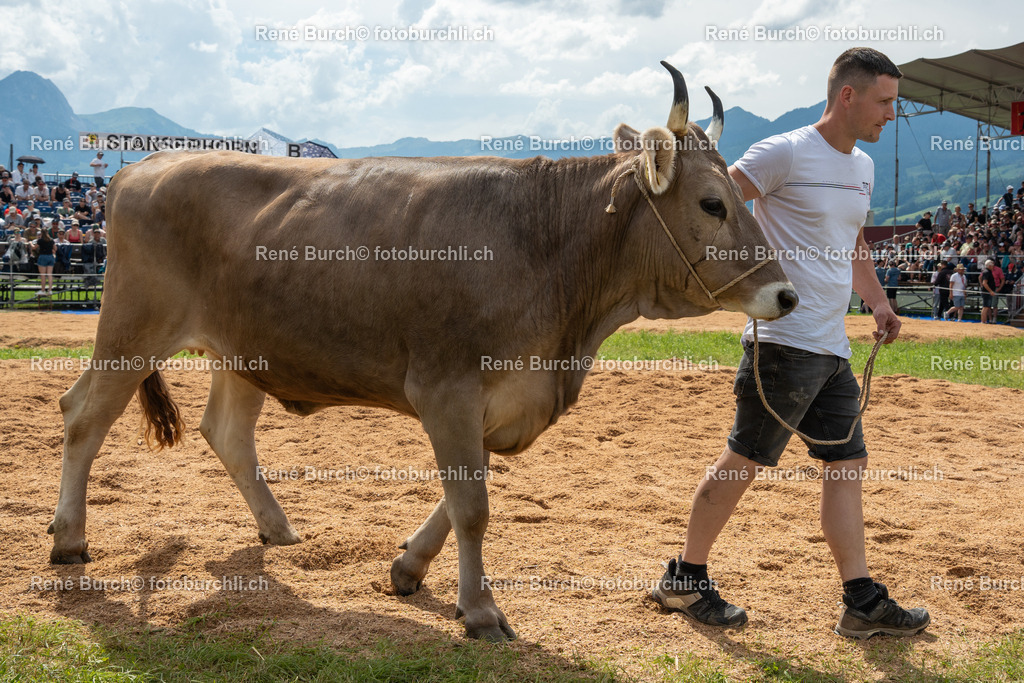 RB_03514 | René Burch leidenschaftlicher Fotograf aus Kerns in Obwalden.  Hier finden sie Sport, Landschaft und Natur Fotografie.
 - Realisiert mit Pictrs.com