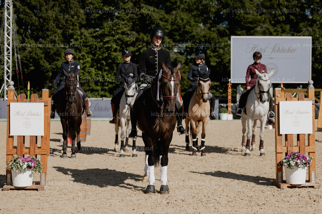 Virginie12FHC2025-27668 | working equitationturnier fotograf videograf stoibphotography marixx film working equitation deutschland reitsport turnierfotografie eventfotografie equestrian events