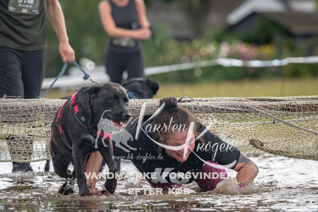 1346_ZZ91089 | kk-dogfotos