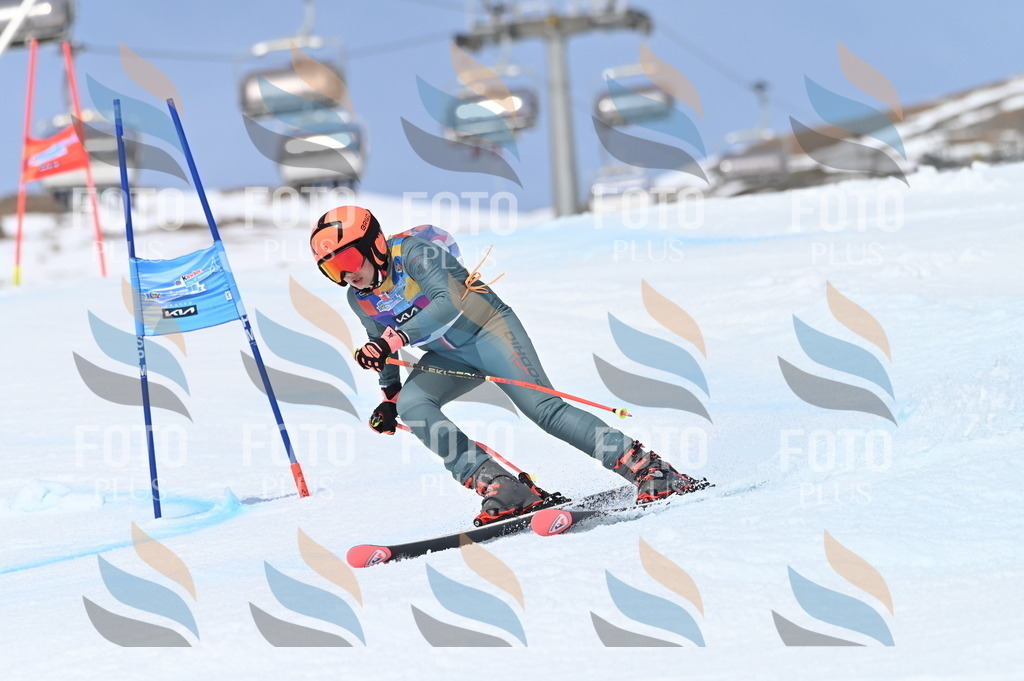 BGV_3807 | holidayphoto