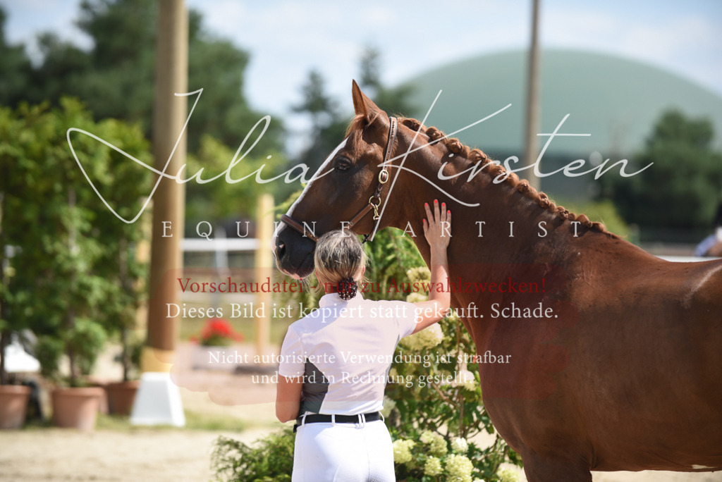 DSC_8980 | Pferde- und Turnierfotografie in Westsachsen. Pferdeportraits, Auftragszeichnungen und intuitive Kunst.