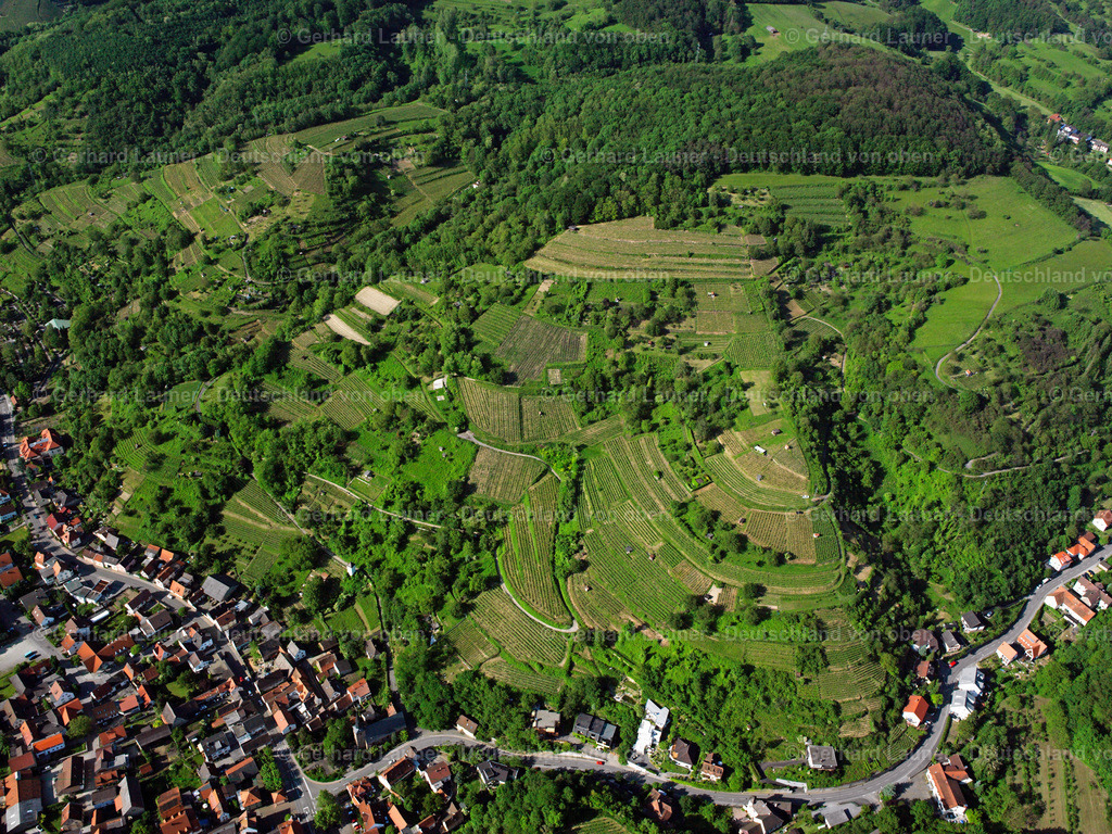2598018 | Weinberge bei Laudenbach