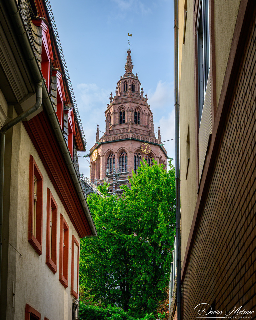 Der Mainzer Dom St Martin | Der hohe Dom St Martin zu Mainz