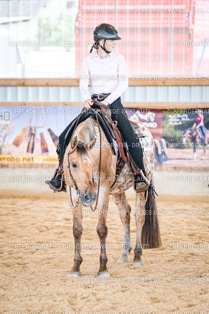 DSC02722 | Pferdegrafie