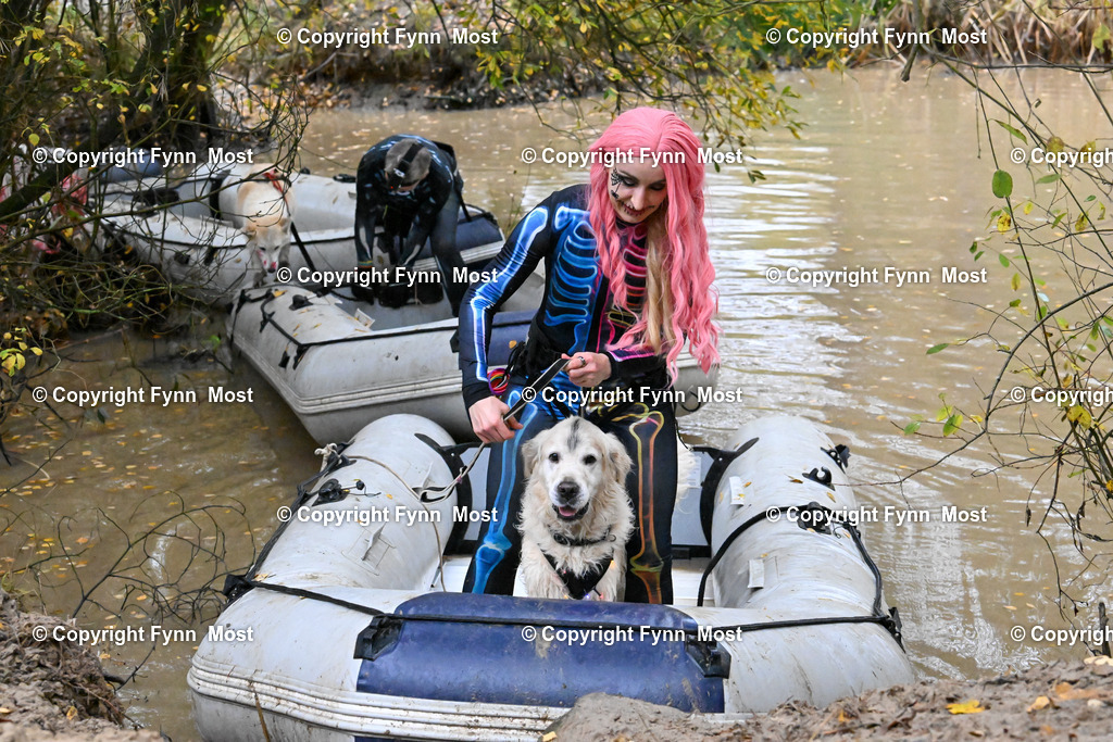 DSC_6747 | Hallo und herzlich Willkommen auf meiner Shop-Seite Fynn Most.

Ich wünsche Dir viel Spaß beim stöbern durch die Bilder, wenn Du Fragen hast oder Bilder vermisst, kannst du mir gerne eine Nachricht schreiben. - Realisiert mit Pictrs.com