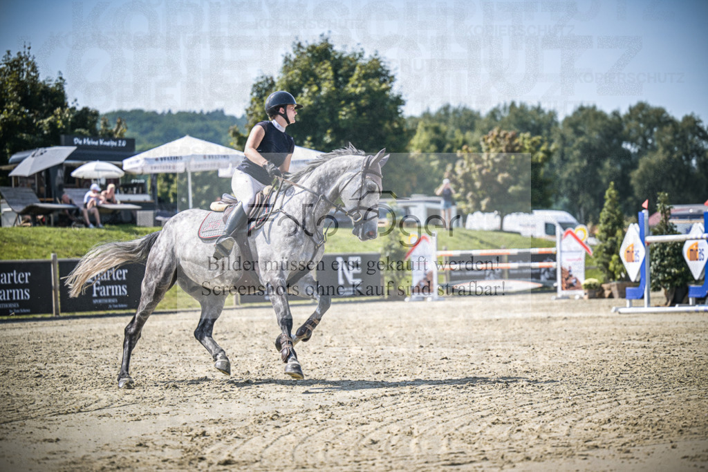 DOS_2006 | Entdecke hochwertige Reitturnierfotos von Foto Oger. Professionell, emotional und authentisch – jetzt Lieblingsmomente im Shop bestellen.Deutschlandweite Turnierfotografie. - Realisiert mit Pictrs.com