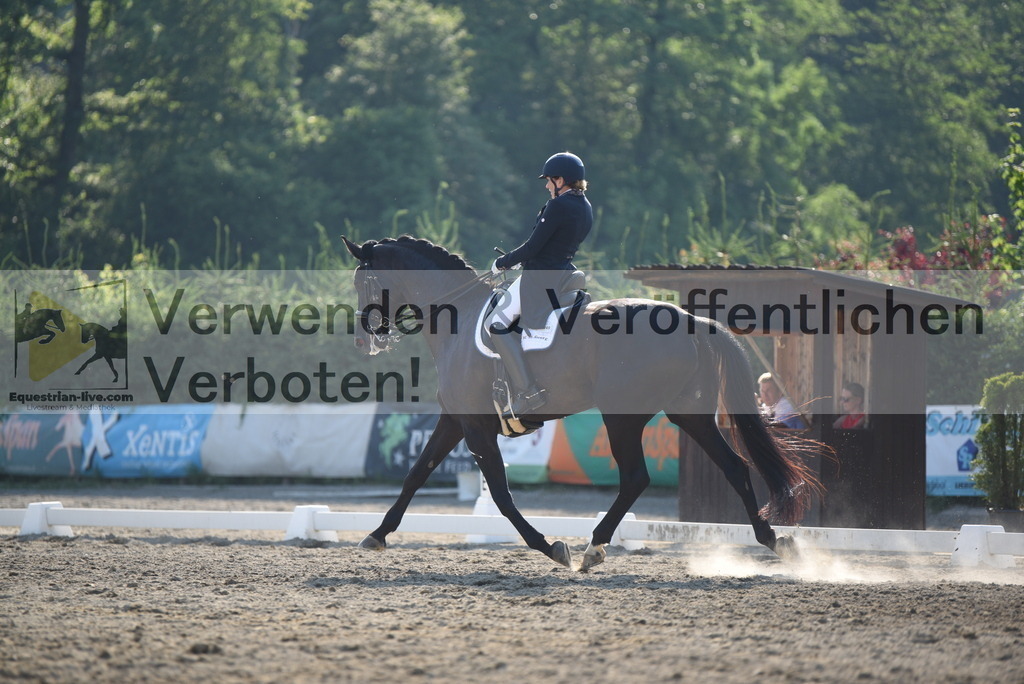 DSC_3271 | equestrian-live-com