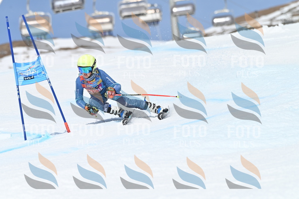 BGV_3285 | holidayphoto