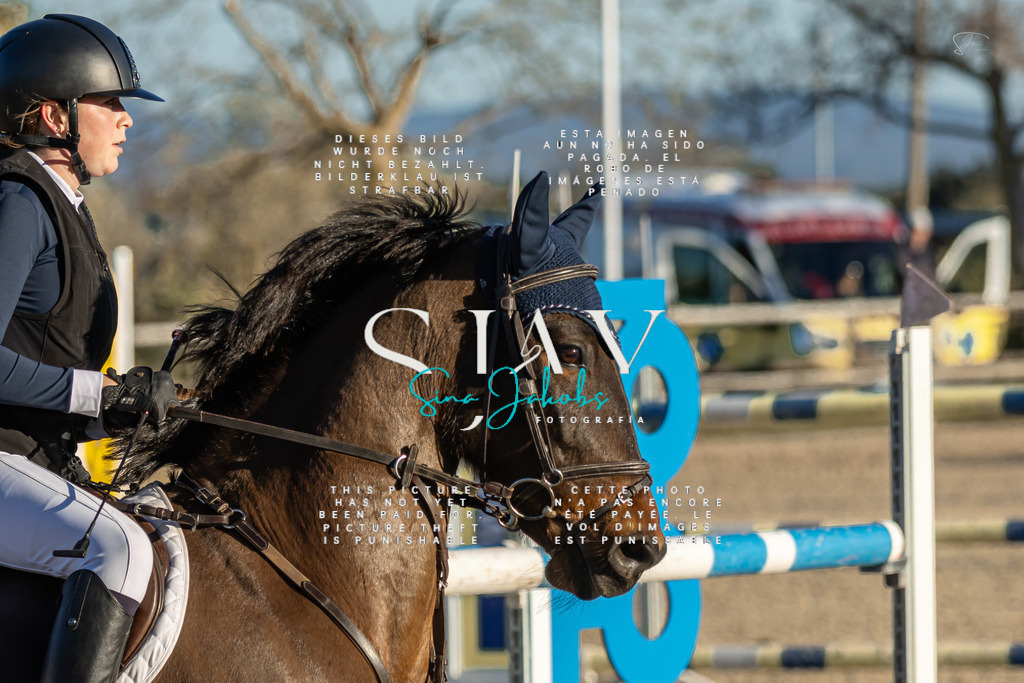 IMG_2430 | s-jay-photography - Realisiert mit Pictrs.com