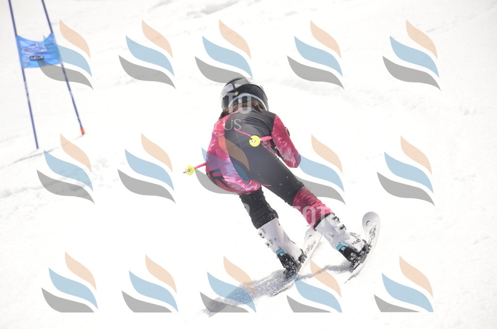 _ELE9370 | holidayphoto