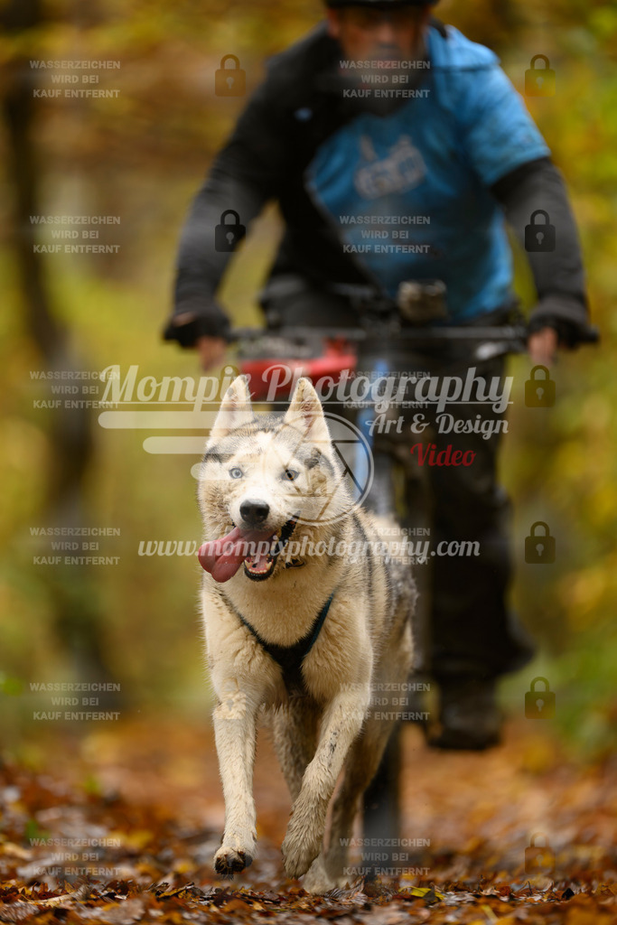 MompixPhotography_CD7S_DI_Bike-60 | mompixphotography