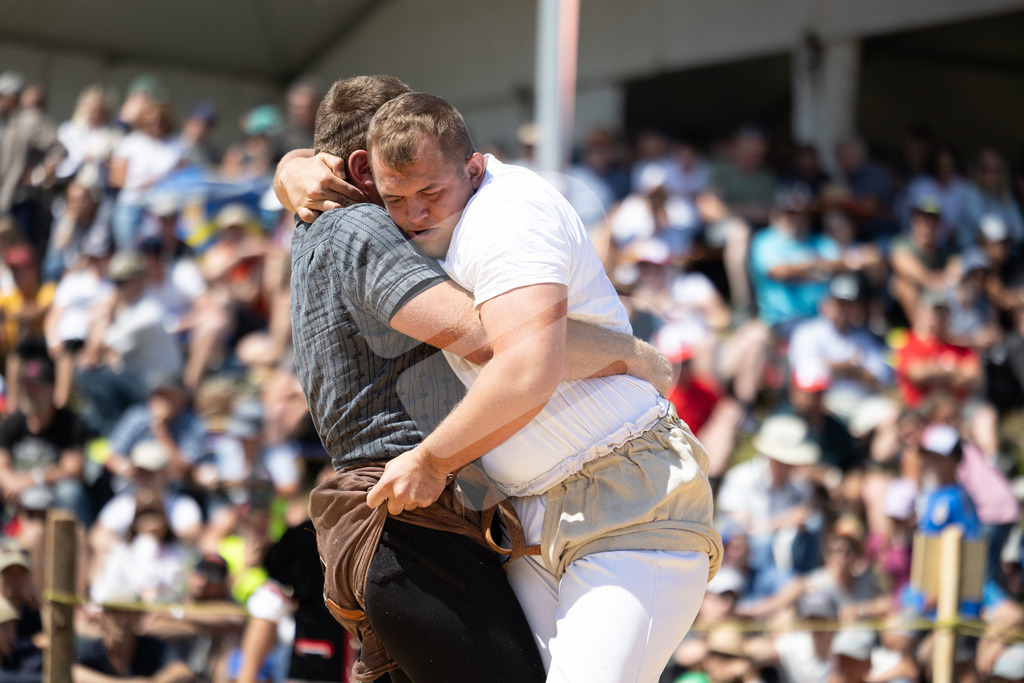 Rigi2025_2228 | Die Schwinger des Schwyzer Kantonalen Schwingerverbandes: Fotos, die Dynamik und Leidenschaft festhalten, sowie emotionale Momente aus dem traditionellen Schwingsport zeigen. - Realisiert mit Pictrs.com