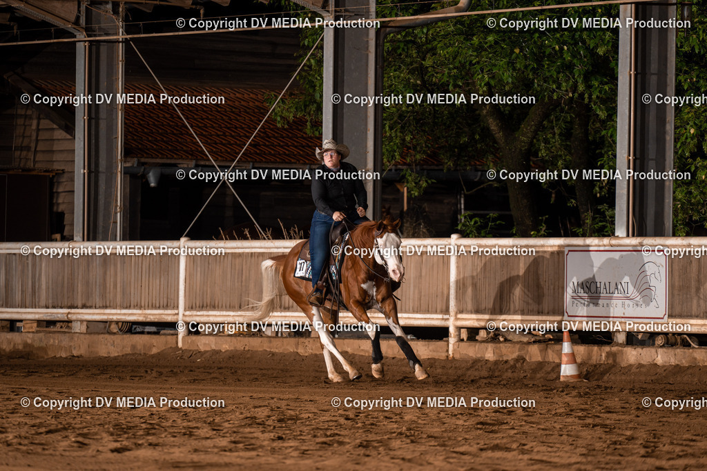 Erbach Tag 3-1021 | dv-media-shop - Realisiert mit Pictrs.com