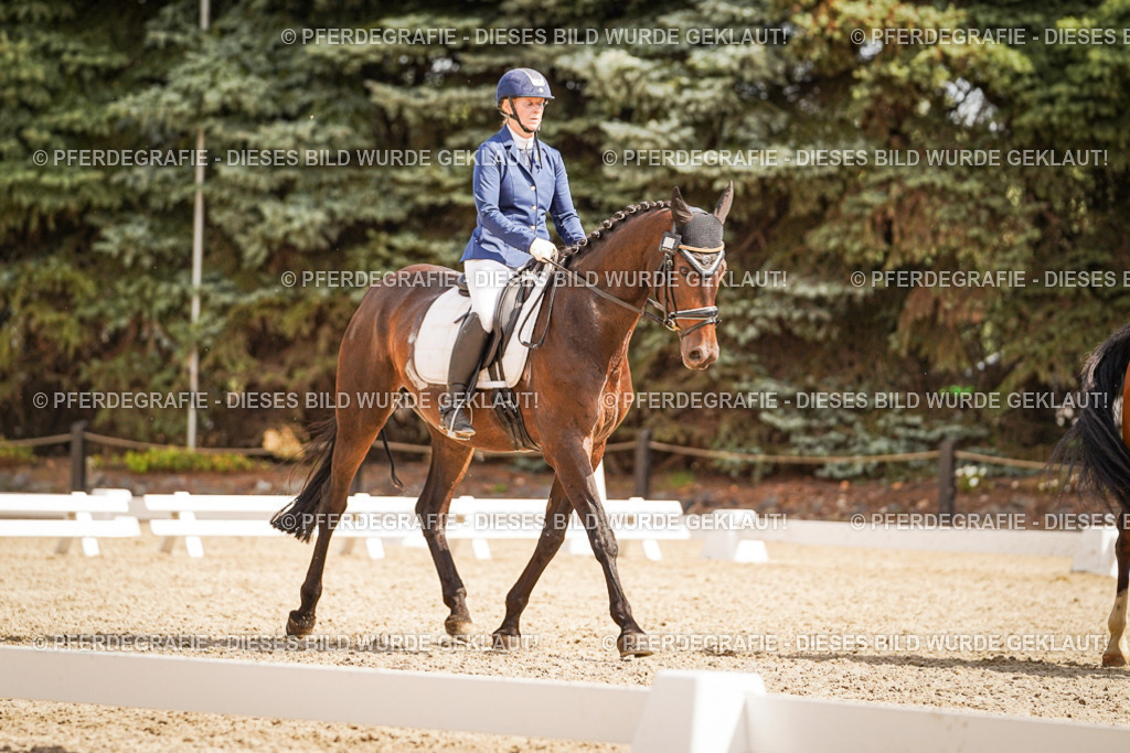 DSC01466 | Pferdegrafie