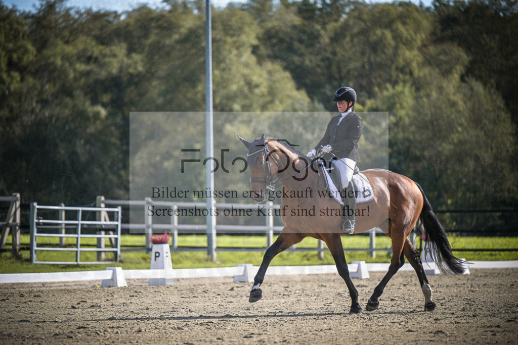DOS_1391 | Entdecke hochwertige Reitturnierfotos von Foto Oger. Professionell, emotional und authentisch – jetzt Lieblingsmomente im Shop bestellen.Deutschlandweite Turnierfotografie. - Realisiert mit Pictrs.com