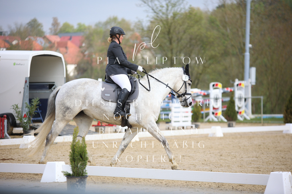 IMGT5813 | pl-fotografie