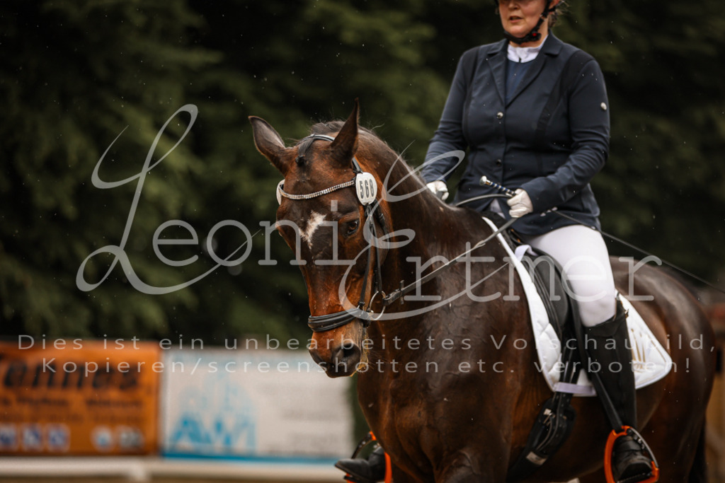 DoDrA00309 | Leoni Ertmer Photography - Realisiert mit Pictrs.com