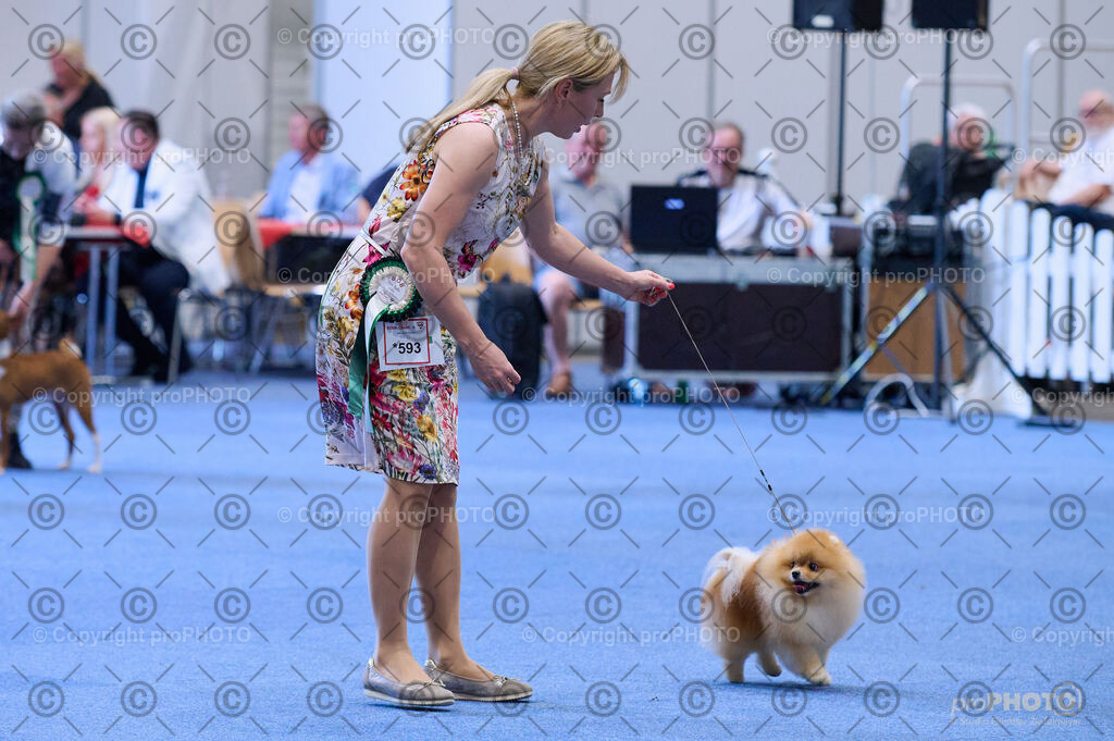 202406_ÖKV-IHA-Tulln24_DSC_3959 | proPHOTO - Realisiert mit Pictrs.com