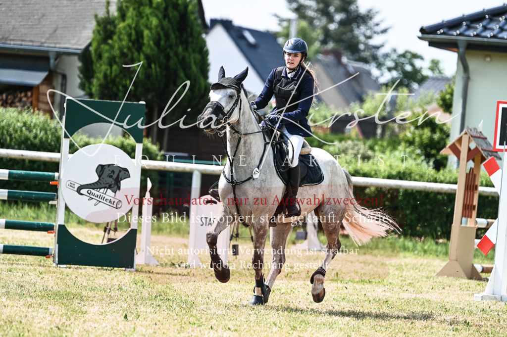 DSC_8806 | Pferde- und Turnierfotografie in Westsachsen. Pferdeportraits, Auftragszeichnungen und intuitive Kunst.