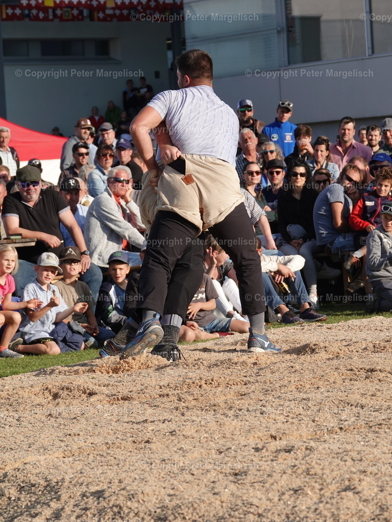 DSC05669 | Schwingen - Realisiert mit Pictrs.com