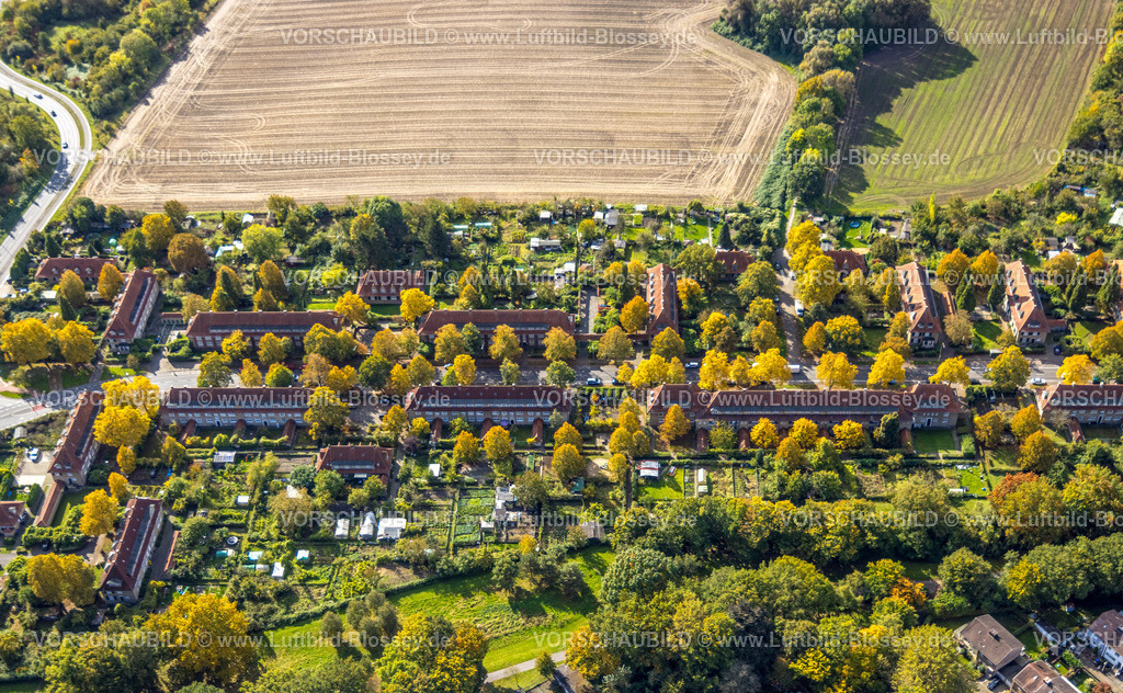 Hamm241008671 | Luftbild, Bergarbeitersiedlung Wohnsiedlung Vogelsang, Wiesen und Felder, Stadtbezirk Heessen, Hamm, Ruhrgebiet, Nordrhein-Westfalen, Deutschland