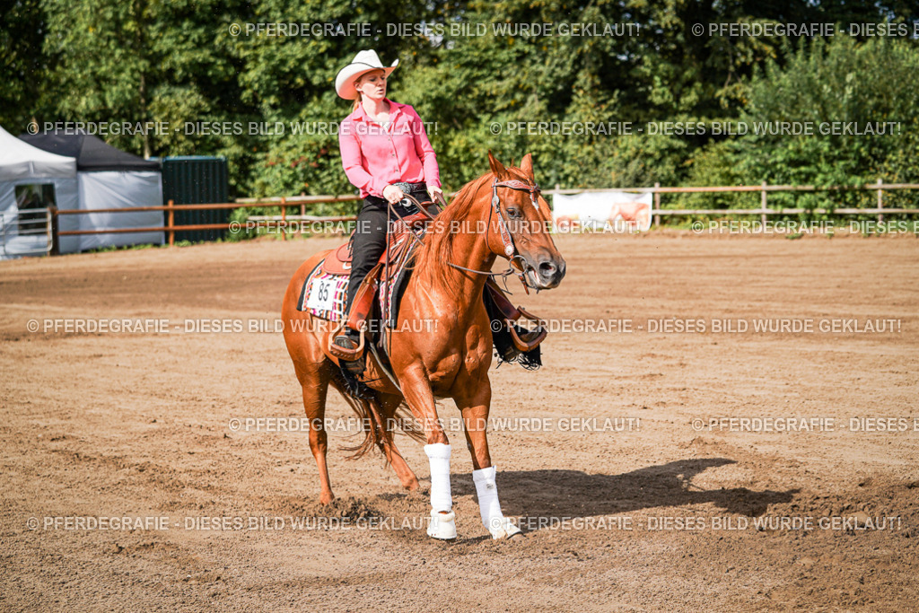 DSC09453 | Pferdegrafie