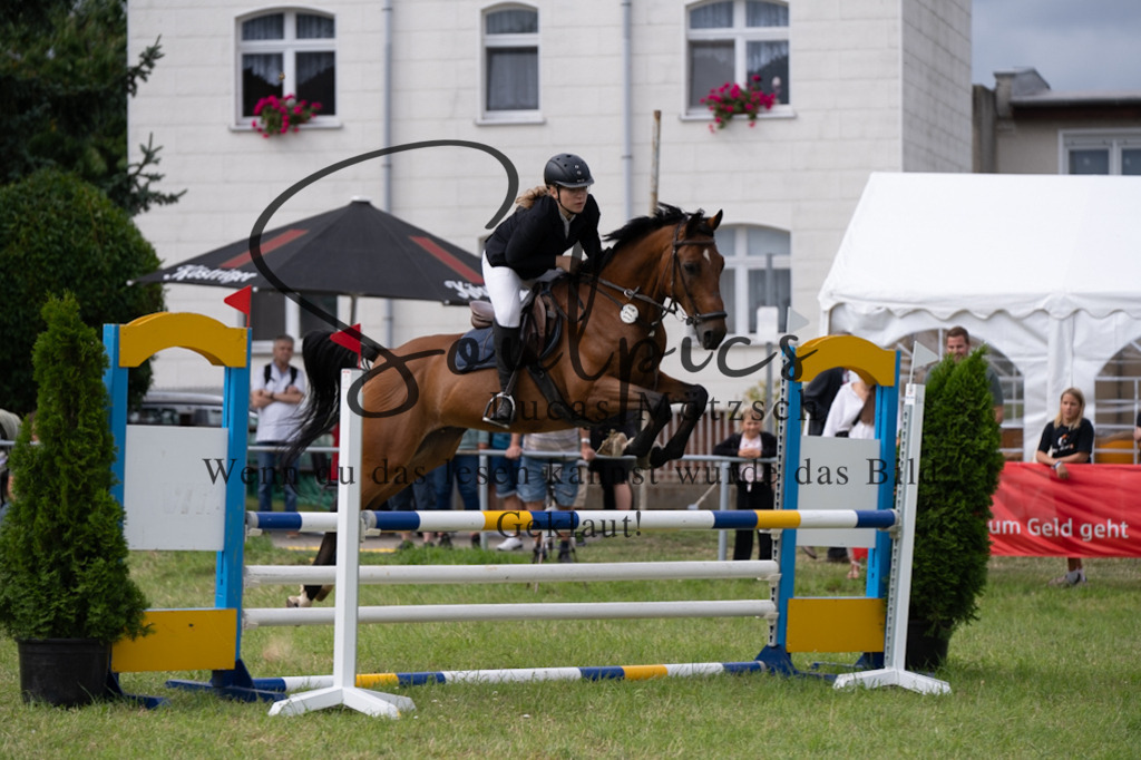 A7V05314 | Pferdefotograf