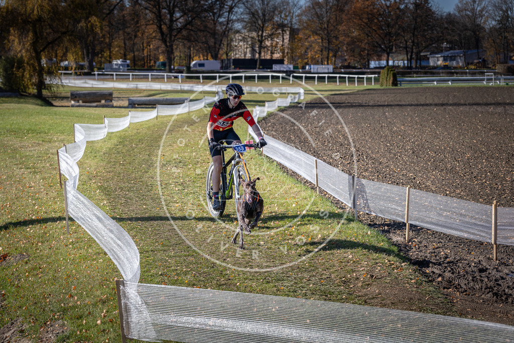 CaniXpix_DV3A7210 | Hundefotografie, Tierfotograf, Pfotenfotografie, Fotoshooting Hund, Hunde Portrait, Hundesport, Hundeportraits, Heideshooting, Hunde, Sportfotograf, Hundefotograf, Turnierhundsport, THS,  - Realisiert mit Pictrs.com