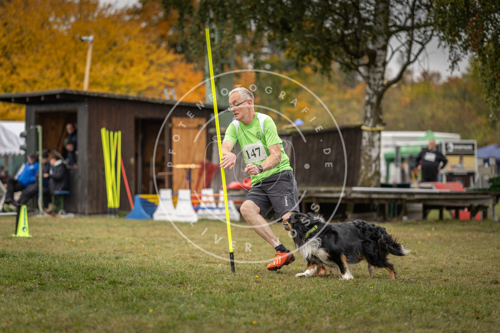 Pfotenfotografie_DV3A6232 | Hundefotografie, Tierfotograf, Pfotenfotografie, Fotoshooting Hund, Hunde Portrait, Hundesport, Hundeportraits, Heideshooting, Hunde, Sportfotograf, Hundefotograf, Turnierhundsport, THS,  - Realisiert mit Pictrs.com