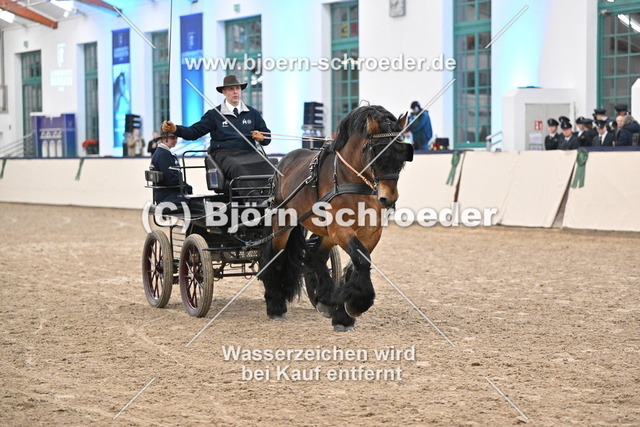 Unser Günther_974_5737 | Björn Schroeder Pferdefotografie