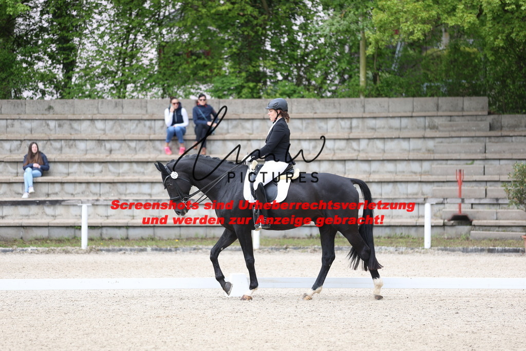 A40A4367 | lmwpictures - Realisiert mit Pictrs.com